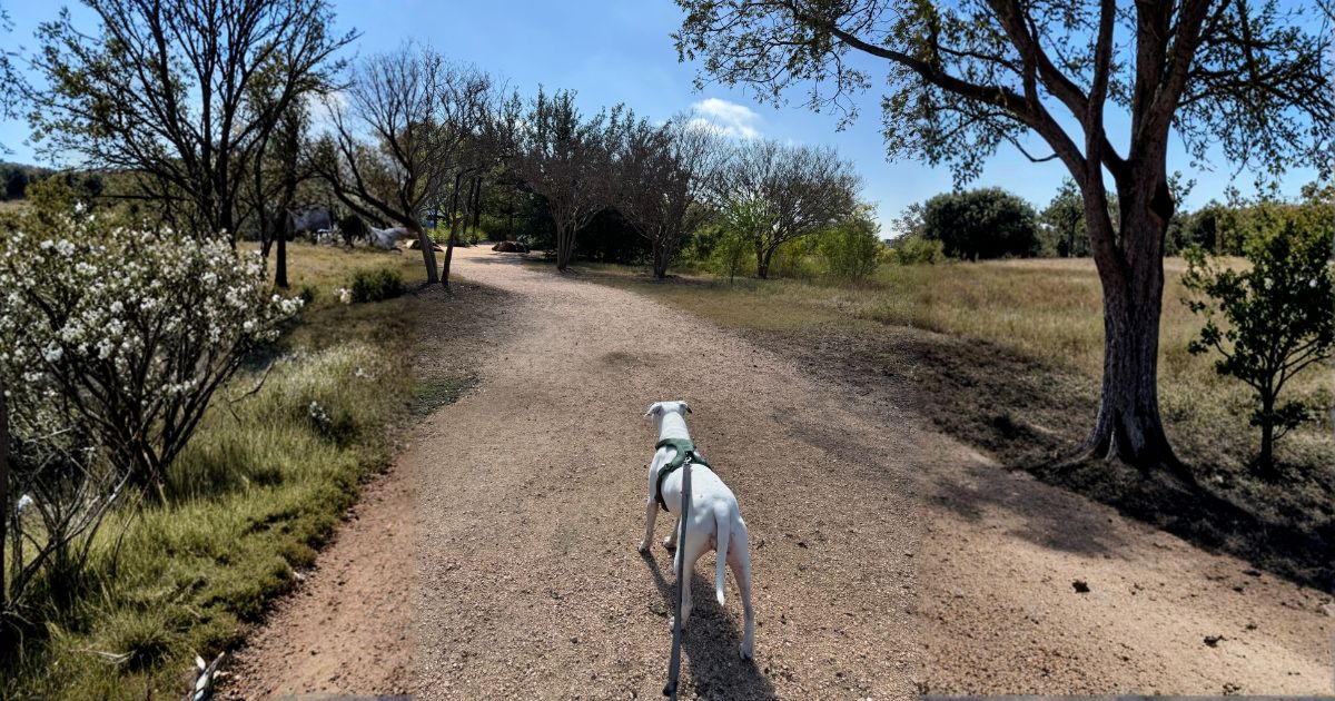 Tractive GPS dog tracker compared to TreatWalk walking app
