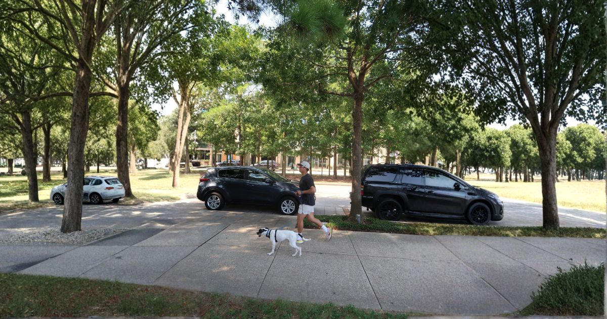 Dog walking on trail in Texas with GPS walk tracking app