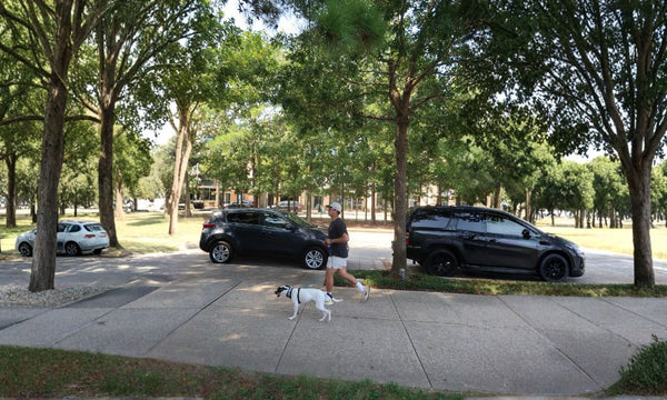 Best Dog Walking App in Texas — San Antonio, Austin, Dallas & Houston
