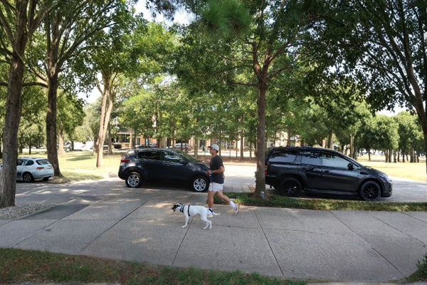 Dog walking on trail in Texas with GPS walk tracking app