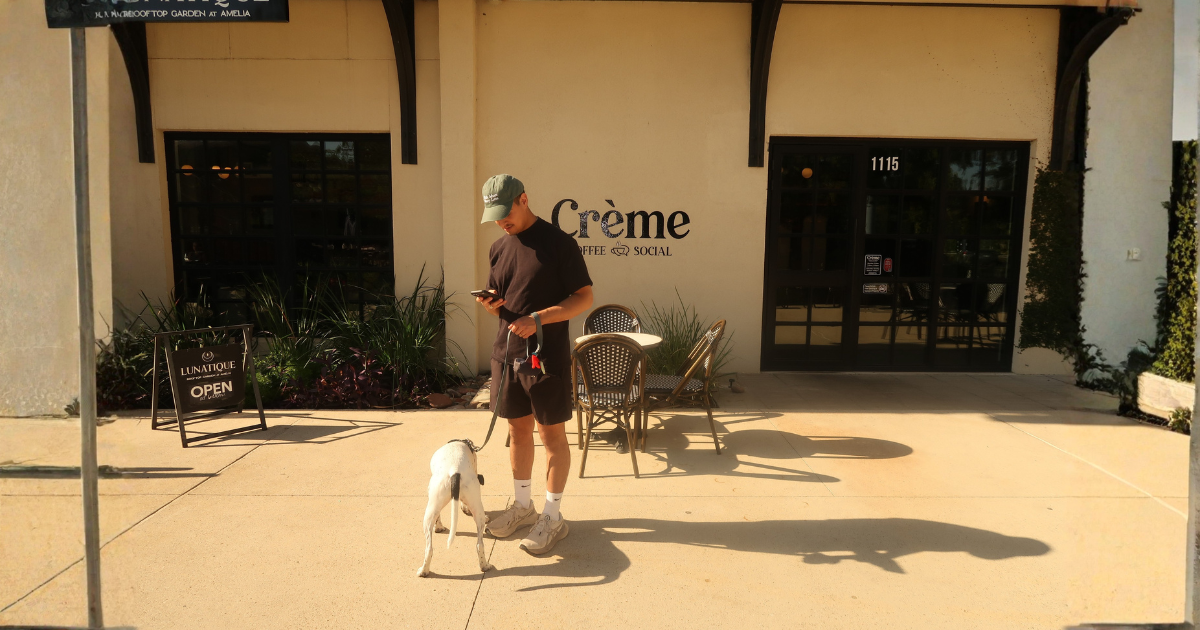 Why I Built TreatWalk