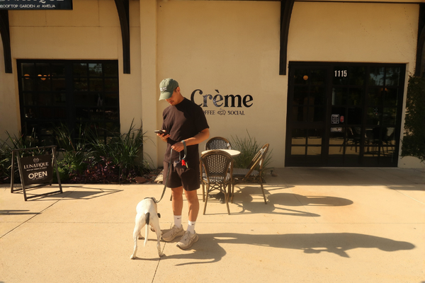 Why I Built TreatWalk
