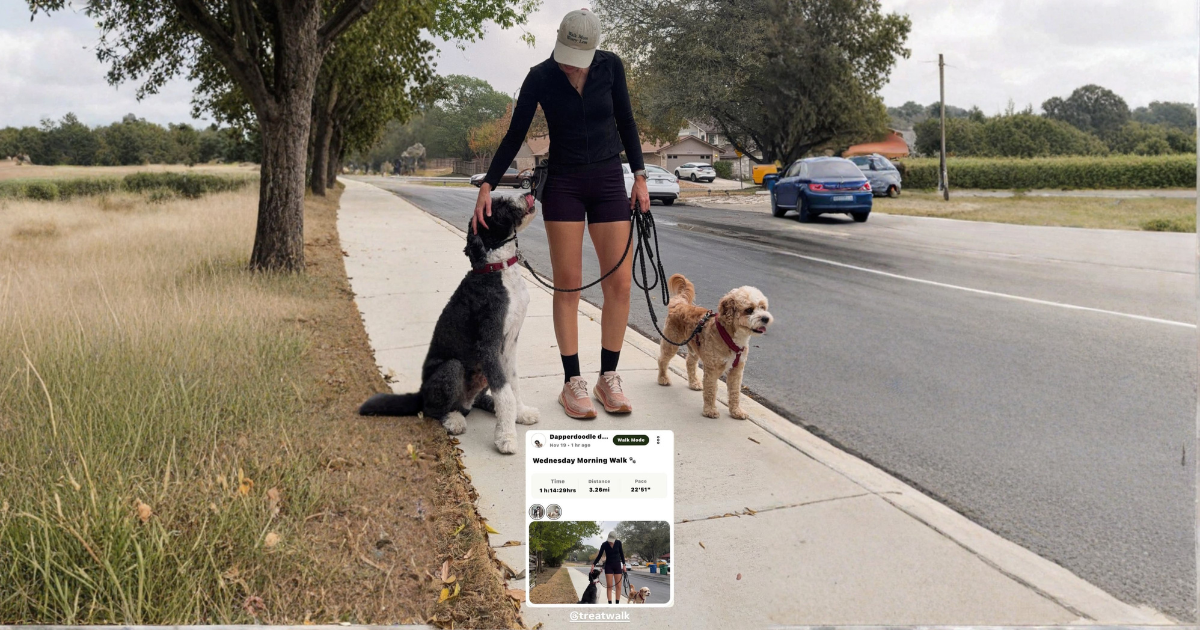 Meet the Pack: The Dog Parents Leading Our Community