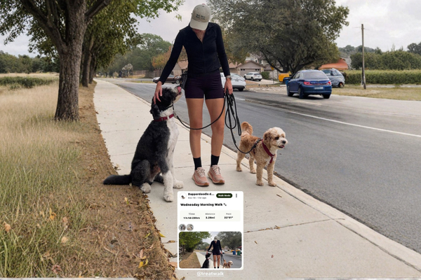 Meet the Pack: The Dog Parents Leading Our Community