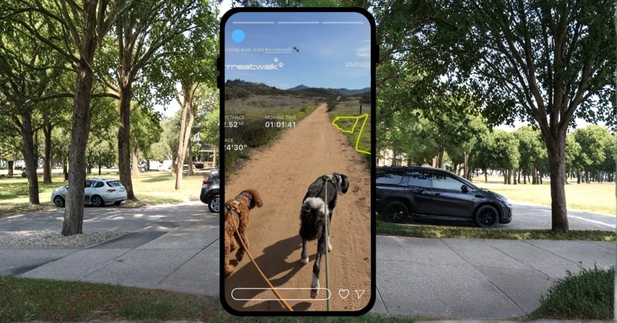 End Walk Screen of Treatwalk on Smartphone