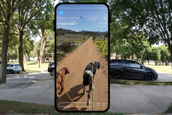 End Walk Screen of Treatwalk on Smartphone