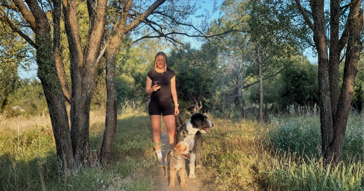 How TreatWalk Tracks Your Dog's Progress