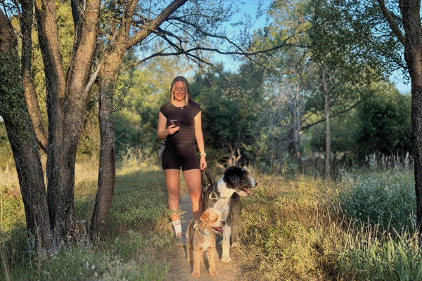 How TreatWalk Tracks Your Dog's Progress